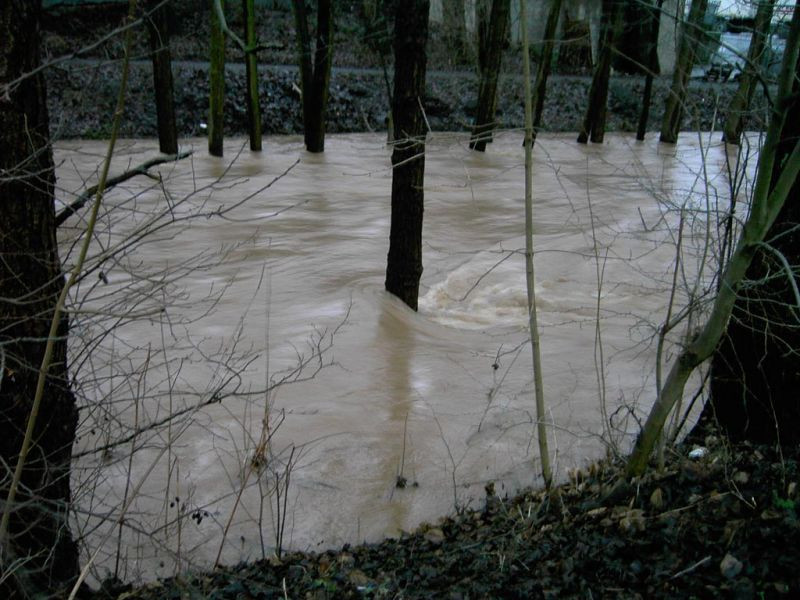 Symbolfoto: Elz bei Hochwasser.